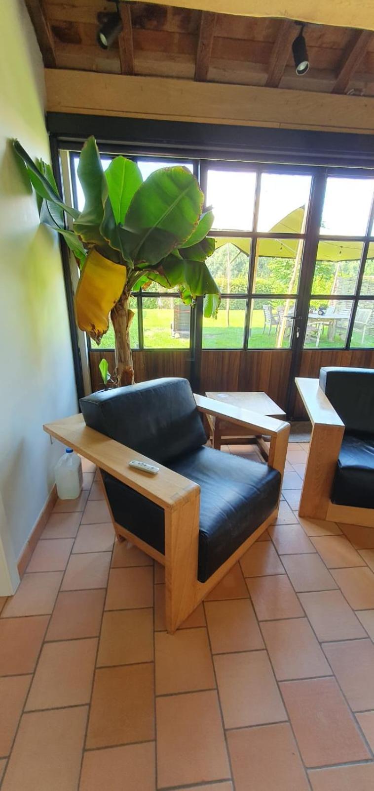 Hof Ter Dreef Bed and Breakfast Meise Eksteriør billede